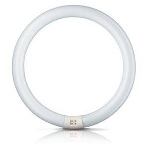 Philips G10q 22W 865 Leuchtstoffring Master Circular TL-E 