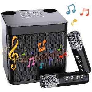 ZEUOPQ mit 2 Mikrofonen,Mini Karaoke Anlage, Bluetooth Karaoke Lautsprecher Karaoke-Maschine (Unterstützung AUX, USB/TF, Partys, Geburtstage,Familientreffen) 