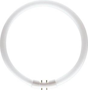 Philips MASTER TL5 Circular 60W/840 Ringlampe