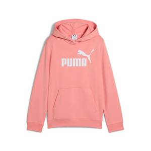 Puma Kapuzensweatshirt 