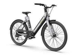 Leicke SachsenRAD xBird Urban City-Bike C6F Connect 