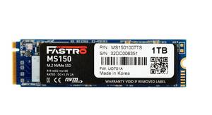 Mega Fastro MS150 interne SSD-Festplatte