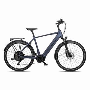 Riverside E-Bike City Trekkingrad 28 Zoll  ETR 900 Herren Perf Line 625 Wh PT 