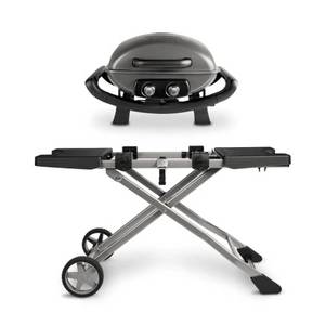 Burnhard Gasgrill Wayne, 2 Brenner mit regenabweisender UV-beständiger Haube, Campinggrill Gas - Tischgrill mit Rollwagen 