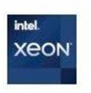 Intel Xeon E-2324G Quad-Core Prozessor