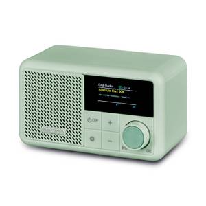 Medion ® Radio (MW/UKW, AM/FM, DAB+, RDS, 2 W) 
