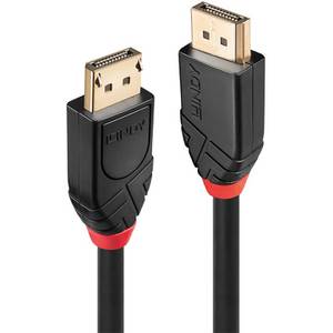 Lindy Aktives DisplayPort 1.2 Kabel 