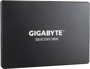 Gigabyte SSD 1TB (GP-GSTFS31100TNTD) interne SSD-Festplatte