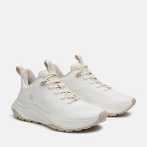 Timberland Sneaker 
