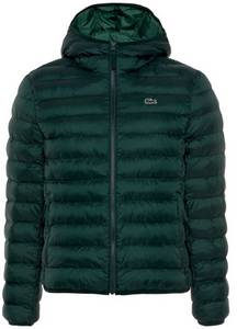 Lacoste Steppjacke (BH0539) grün Herren-Steppjacke