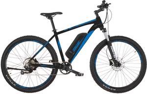Fischer FahrrÄder FISCHER Fahrräder E-Bike »EM 1922«, 9 Gang, Shimano, Altus, Heckmotor 250 W 