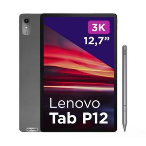Lenovo Tab P12 (Grau) 