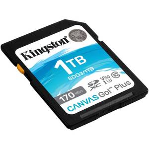 Kingston Canvas Go! Plus 1 TB SDXC, Speicherkarte 