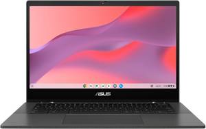 Asus Flip CM1 CM1402FM2A-EC0015 Chromebook (35,6 cm/14 Zoll, MediaTek Kompanio 520, Mali-G52 MC2, 128 GB SSD) 