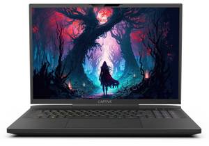 Captiva Highend Gaming I81-486 Gaming-Notebook (Intel Core i9 14900HX, 1000 GB SSD) 