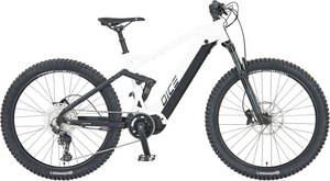 Prophete E-Bike »DICE 5.0«, 12 Gang, Shimano, Mittelmotor 250 W 