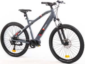 Telefunken E-Bike »Aufsteiger M925«, 9 Gang, Shimano, Alivio, Mittelmotor 250 W 